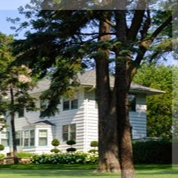 Image for Tommy's Tree Service with ID of: 939745