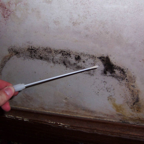 Image for Home Inspection All Star with ID of: 940120