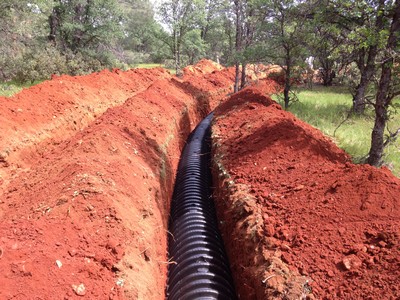 Image for BCI Septic with ID of: 940384
