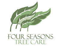 Image for Four Seasons Tree Care with ID of: 940513