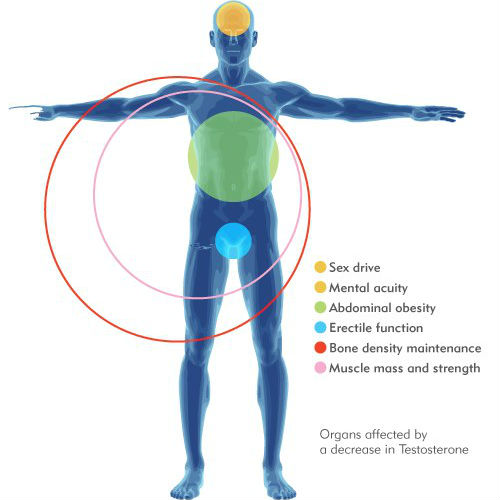 Image for Healthy Aging Medical Centers with ID of: 940559