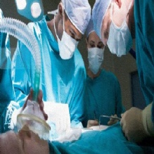 Image for Harry A. Milman, Ph.D. Toxicologist with ID of: 941910