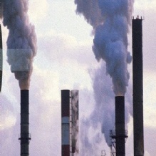 Image for Harry A. Milman, Ph.D. Toxicologist with ID of: 941922
