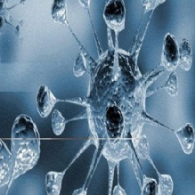 Image for Harry A. Milman, Ph.D. Toxicologist with ID of: 941923