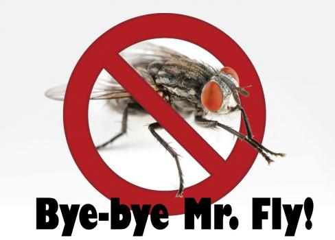 Image for Greenville Pest Control with ID of: 942542