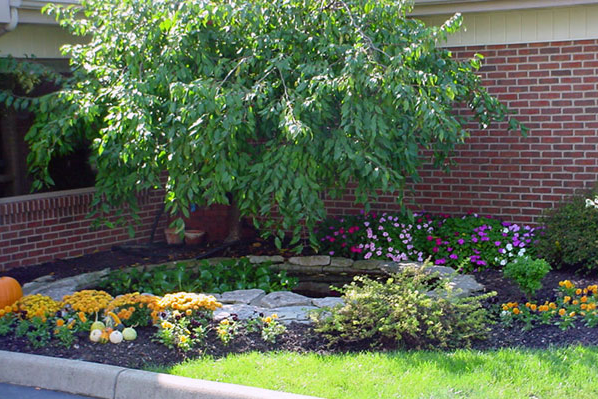 Image for Agroscapes with ID of: 943437