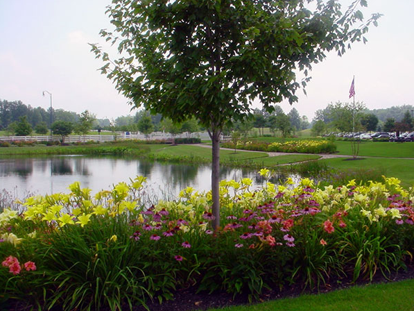 Image for Agroscapes with ID of: 943438