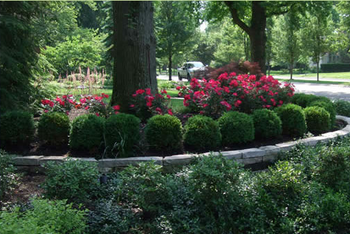 Image for Agroscapes with ID of: 943439