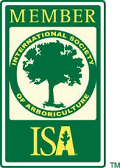 Image for San Antonio Tree Surgeons with ID of: 943444