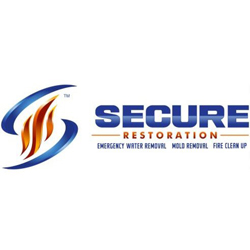Image for Secure Restoration with ID of: 943447