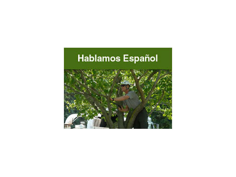 Image for R & J Tree Service with ID of: 944441