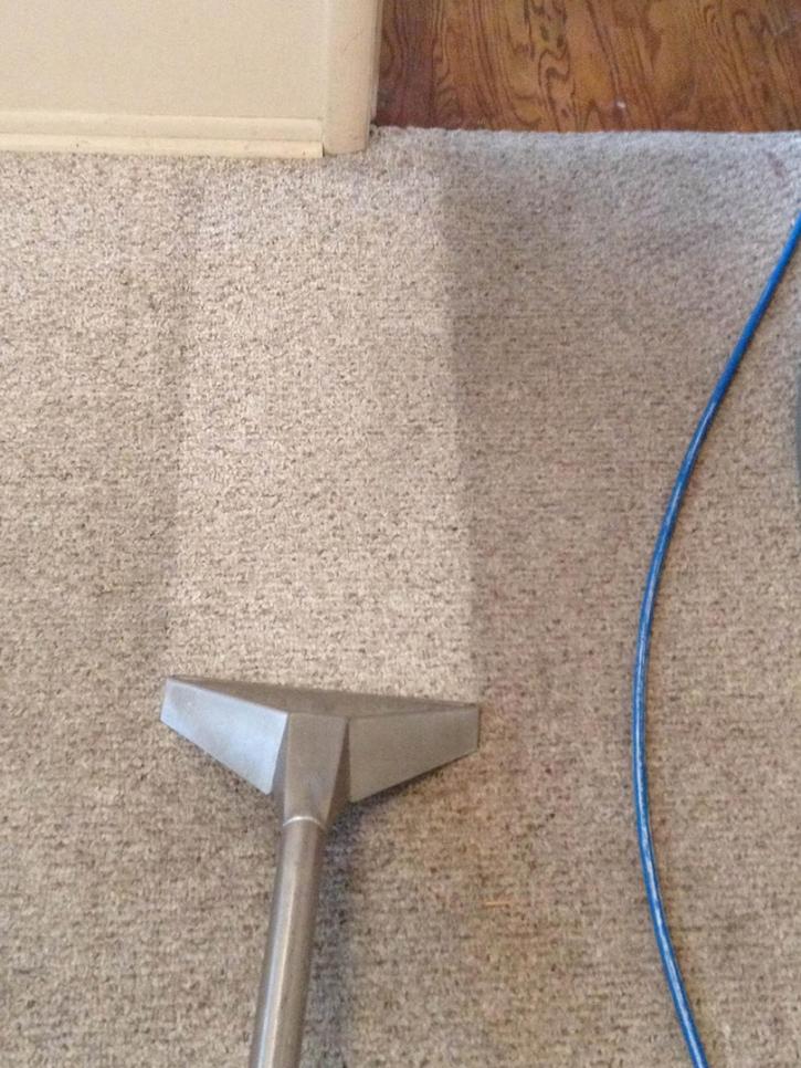 Image for McDonough Carpet Cleaning with ID of: 945137