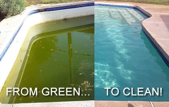 Image for Kool Pool Care with ID of: 945492
