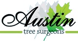 Image for Tree Surgeons of Austin with ID of: 945660