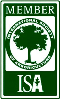 Image for Tree Surgeons of Austin with ID of: 945666