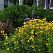 Image for Penury Hall Bed & Breakfast with ID of: 946342