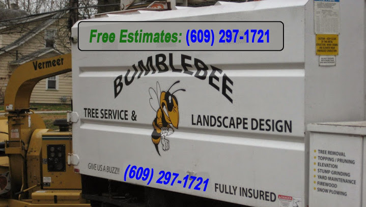 Image for Bumblebee Tree Service & Landscape Design LLC with ID of: 947441