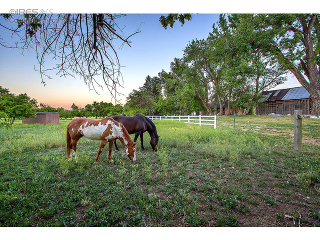 Image for Colorado Landmark, Realtors with ID of: 949062