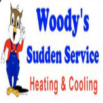 Image for Woody's Sudden Service with ID of: 949738