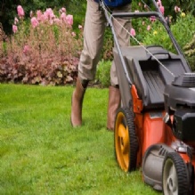 Image for Dave's 4 Seasons Outdoor Power with ID of: 950740