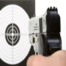 Image for Authority Arms with ID of: 951239