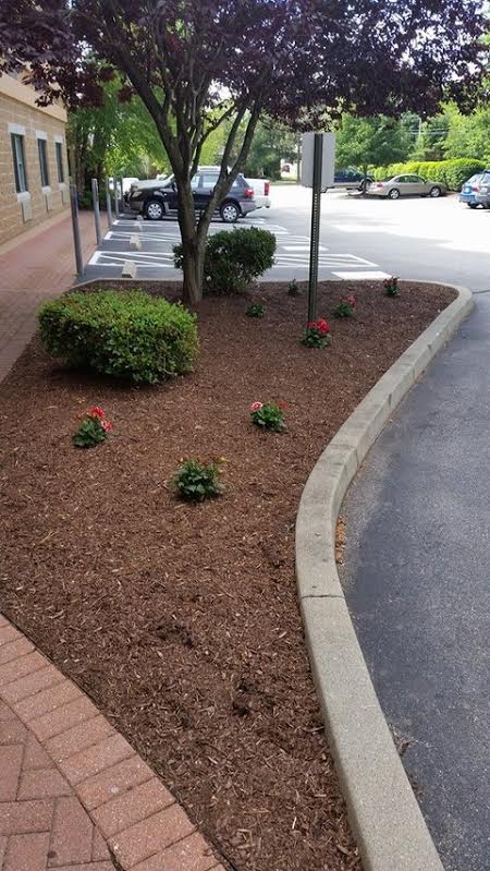Image for Torillo's Landscaping with ID of: 951248