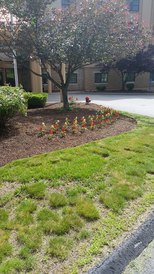 Image for Torillo's Landscaping with ID of: 951253