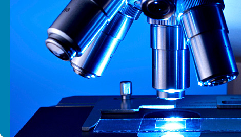 Image for Global life science microscopy devices market is expected to reach an estimated value of USD 2,614.0 million in 2020 with ID of: 951523