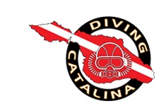 Image for Diving Catalina with ID of: 952556