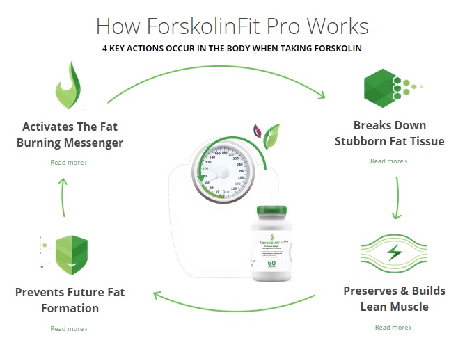 Image for Forskolin Fit with ID of: 952626