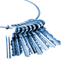Image for Alert Security Plus with ID of: 952640