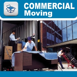 Image for The Miami Movers with ID of: 953301