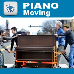 Image for The Miami Movers with ID of: 953302