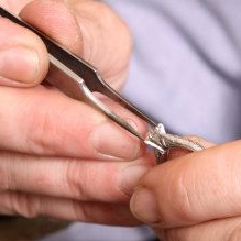 Image for Your Diamond Buyer with ID of: 953794