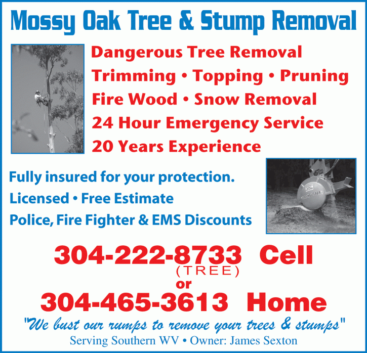 Image for MOSSY OAK TREE & STUMP REMOVAL with ID of: 95497