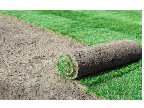 Image for Morales Lawn & Yard Care LLC with ID of: 955088