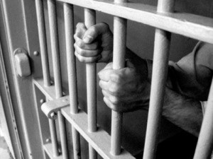 Image for Bail Bonding Now with ID of: 955354