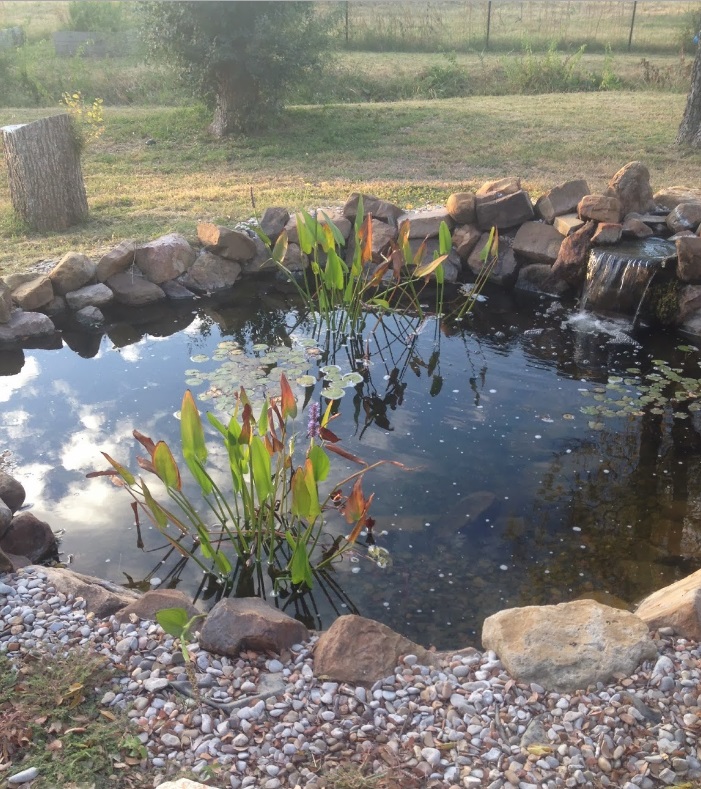 Image for A-1 Lawn & Tree Service with ID of: 956378