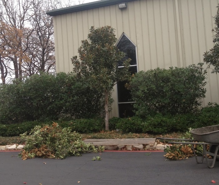 Image for A-1 Lawn & Tree Service with ID of: 956381