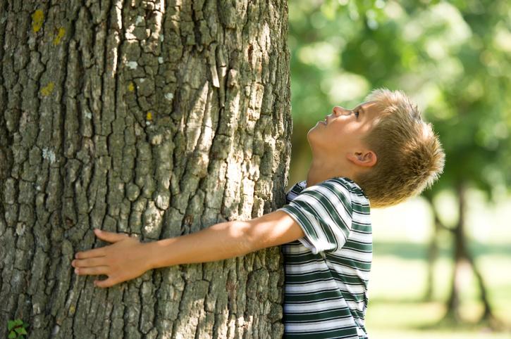 Image for Baytown Tree Care with ID of: 957400
