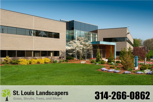Image for St. Louis Landscapers with ID of: 957497