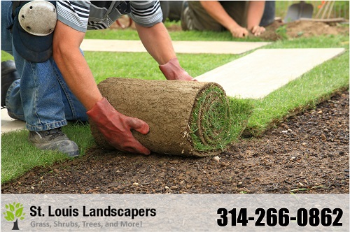 Image for St. Louis Landscapers with ID of: 957498