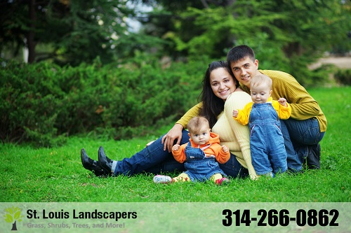 Image for St. Louis Landscapers with ID of: 957499