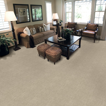 Image for Hopkins Carpet One with ID of: 958421
