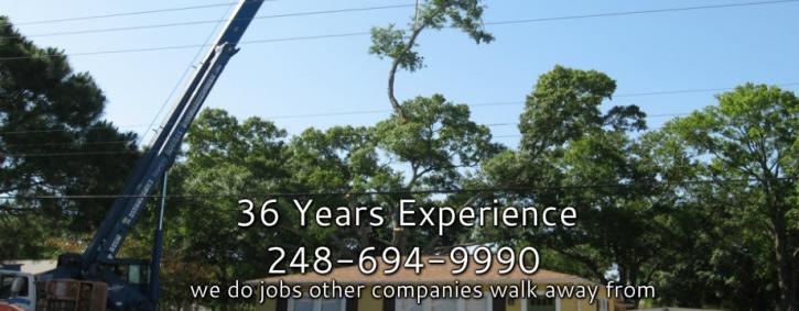 Image for Royal Oak Tree Service with ID of: 960529