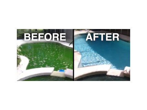 Image for Scuba Divers Pool and Spa Service with ID of: 960602