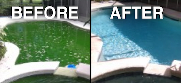Image for Scuba Divers Pool and Spa Service with ID of: 960607