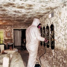 Image for Conscientious Cleaning with ID of: 961524