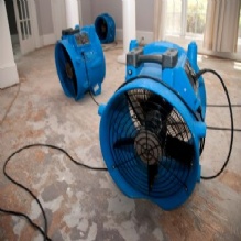 Image for Conscientious Cleaning with ID of: 961525