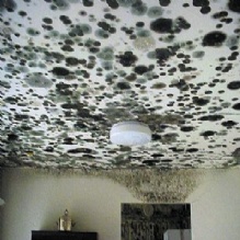 Image for Conscientious Cleaning with ID of: 961526